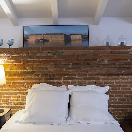 Apartment Toits Place Du Capitole Hyper Centre