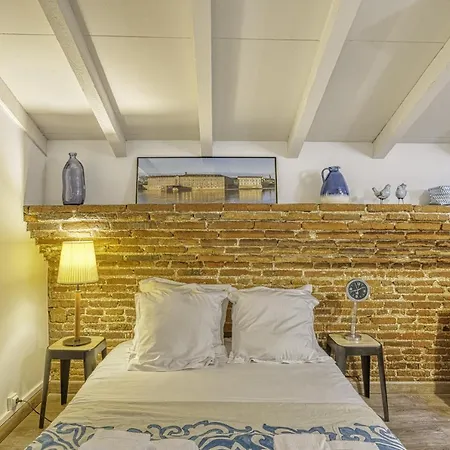 Toits Place Du Capitole Hyper Centre Apartment